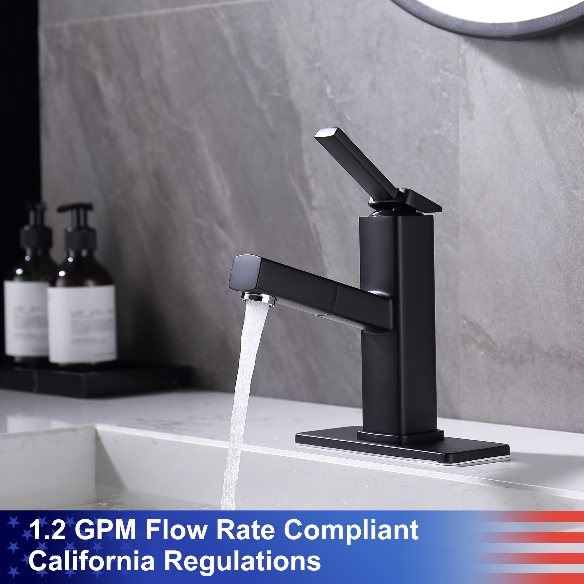Single-Handle Pull-Out Bathroom Faucet (S5801)