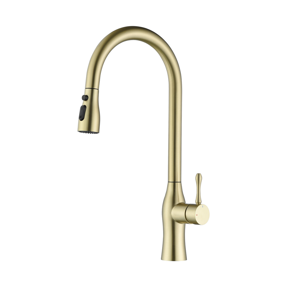 RAINLEX Single-Handle Pull-Down Kitchen Faucet (S6020)