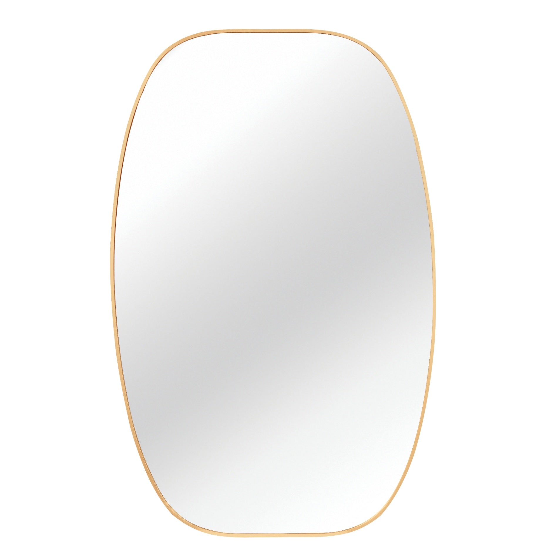 30 in. x 48 in. Metal Framed Oblong Oval Bathroom Vanity Mirror, 4 mm HD Wall Mirror, Horizontal or Vertical