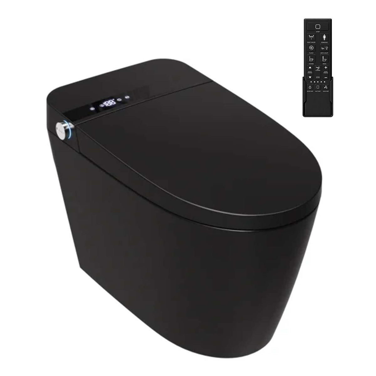 Rainlex Smart Toilet Bidet, One Piece Electric Toilet with Heated Seat, Auto Flush, Warm Air Dryer, Wireless Remote & Self Cleaning Nozzle (T31)