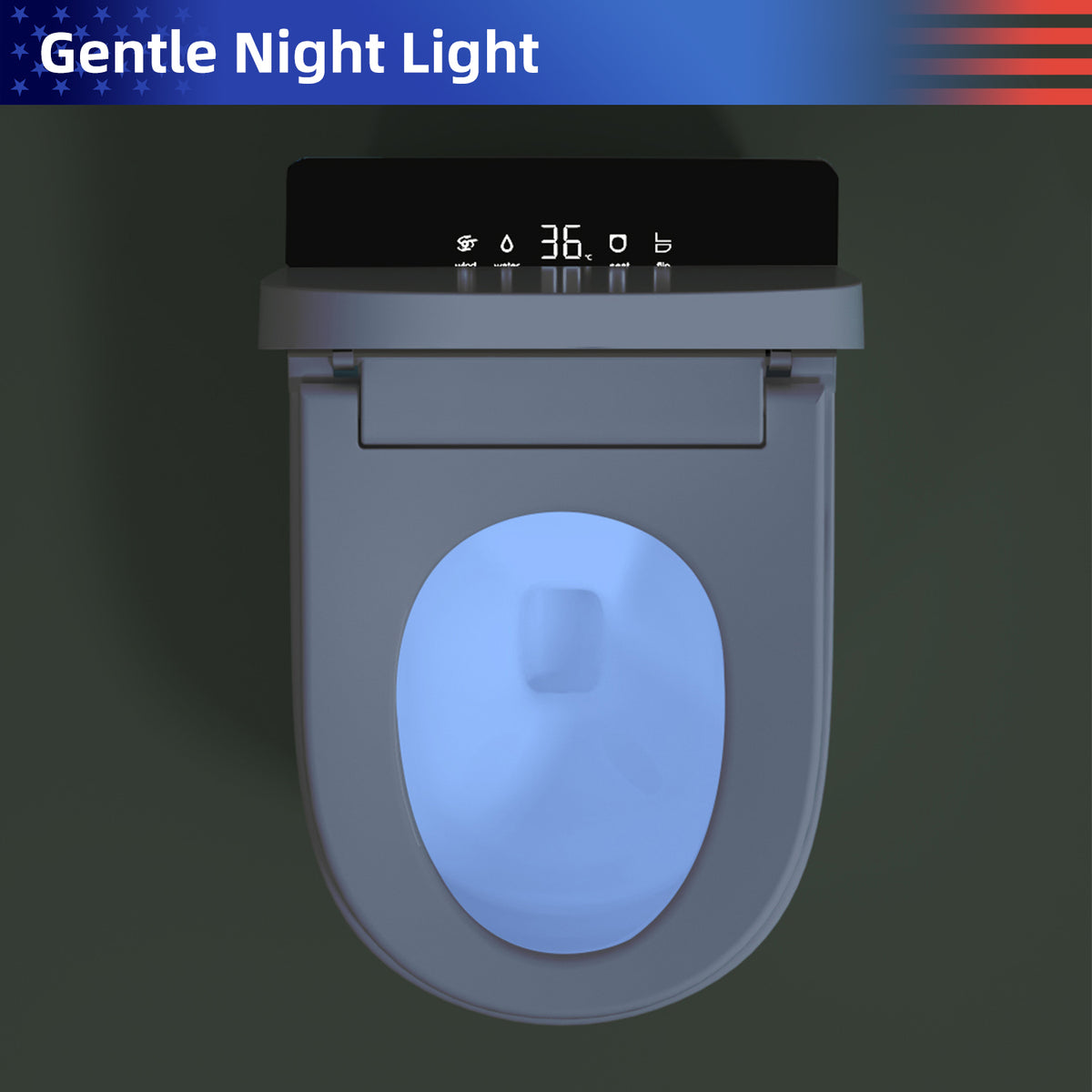 Rainlex Compact Tankless Smart Bidet Toilet with ADA Height, Auto Open Lid, Heated Seat, Warm Water Wash, Dryer & Remote Control(T47)