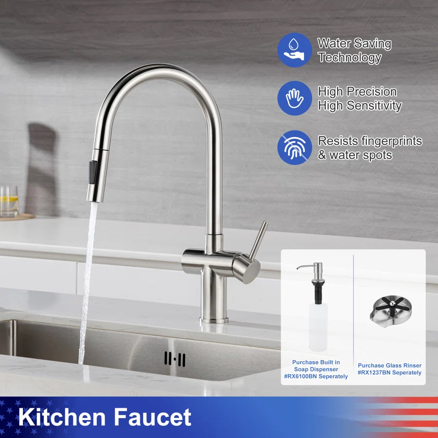 RAINLEX Single-Handle Pull-Down Kitchen Faucet (S6014)
