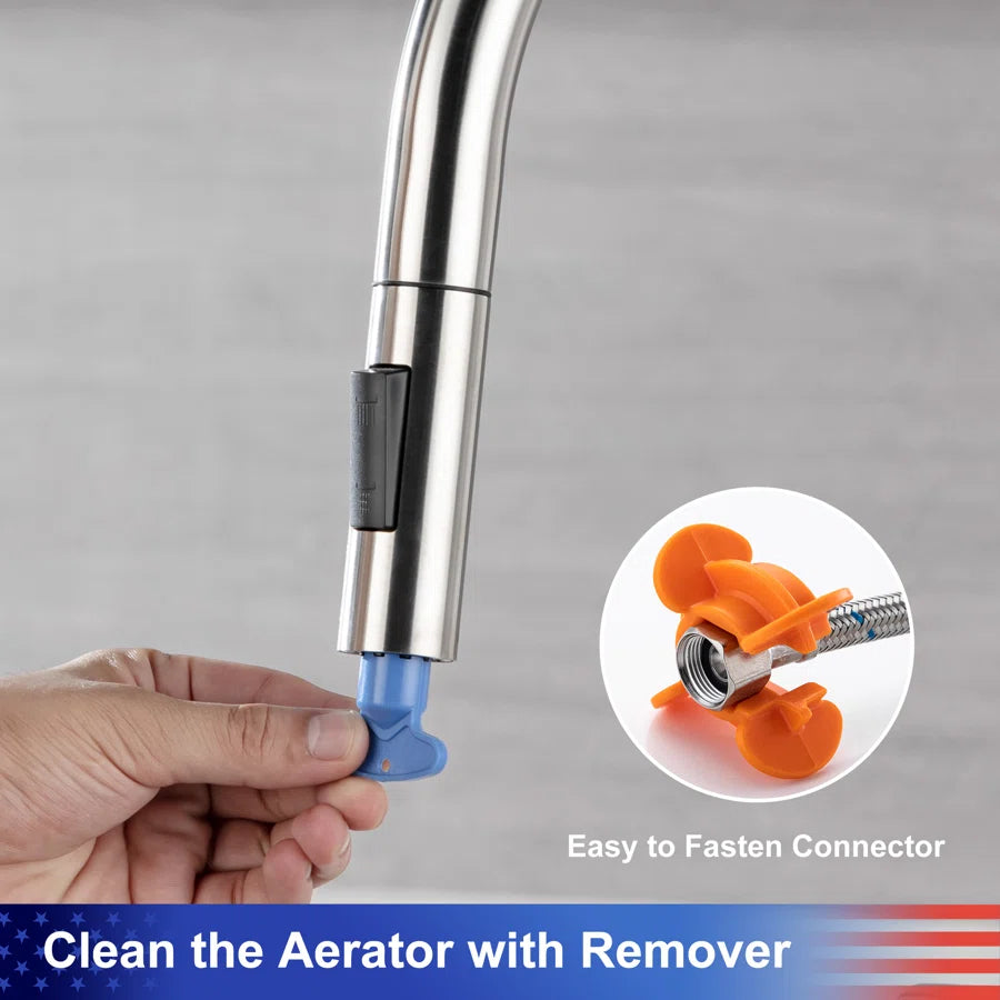 RAINLEX Single-Handle Pull-Down Kitchen Faucet (S6014)