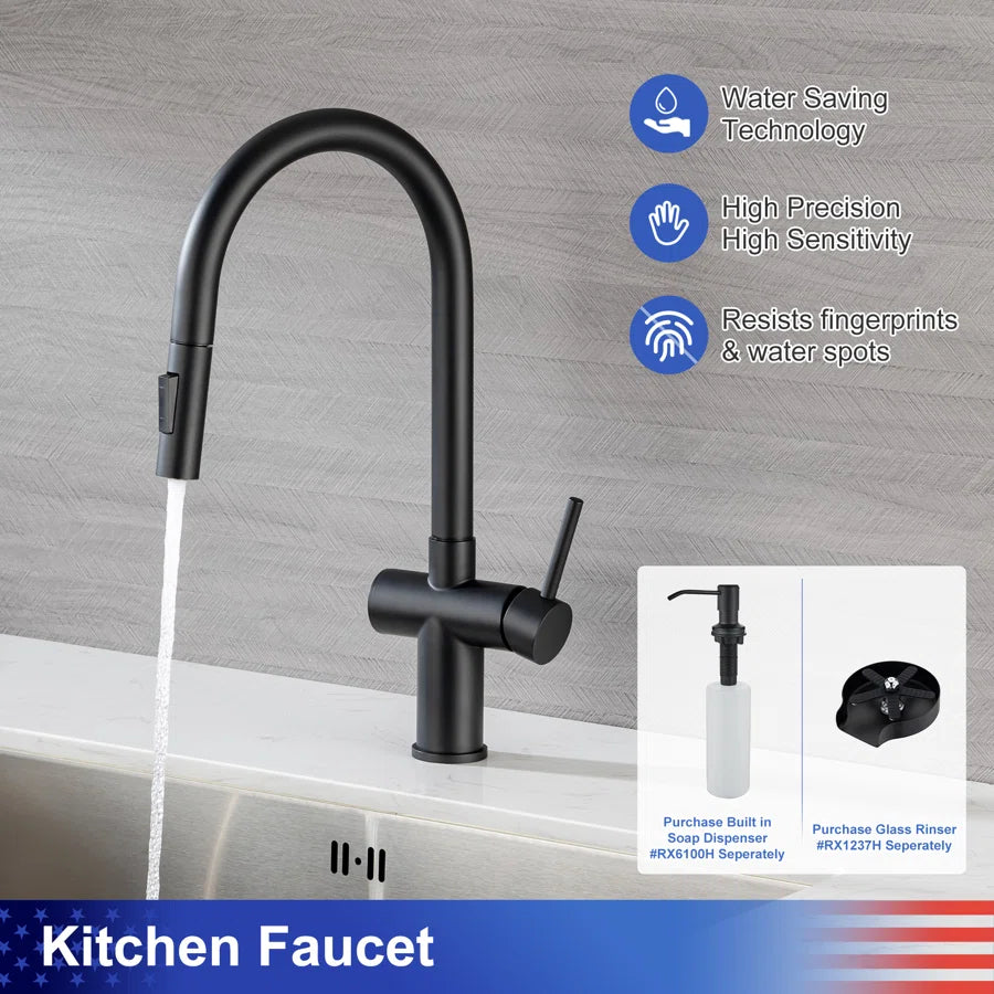 RAINLEX Single-Handle Pull-Down Kitchen Faucet (S6014)