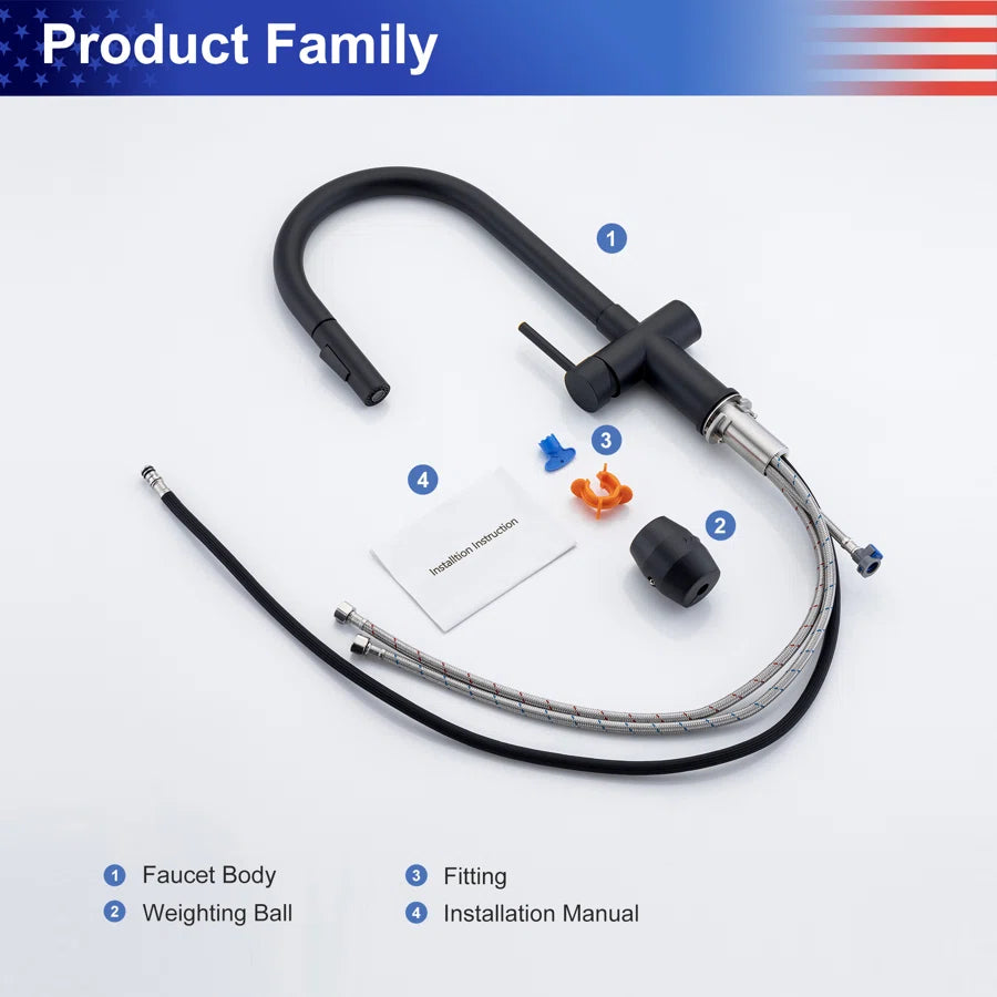 RAINLEX Single-Handle Pull-Down Kitchen Faucet (S6014)