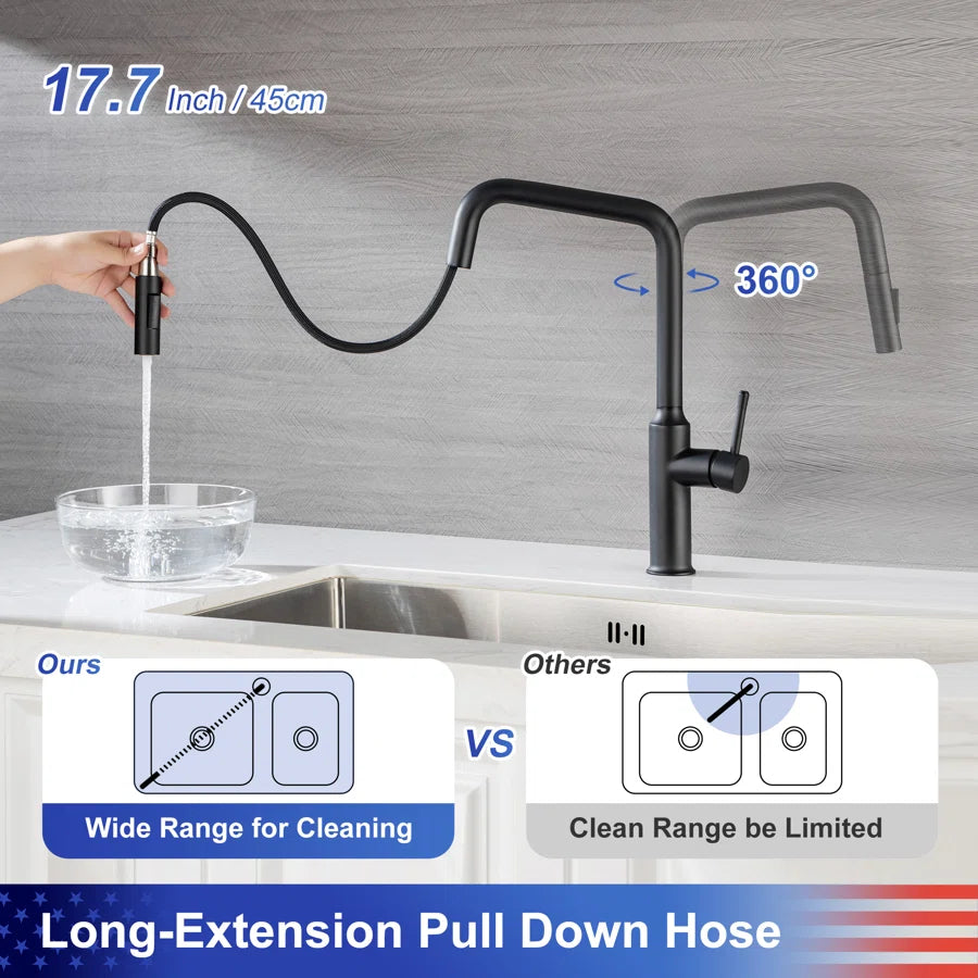 RAINLEX Single-Handle Pull-Down Kitchen Faucet (S6017)