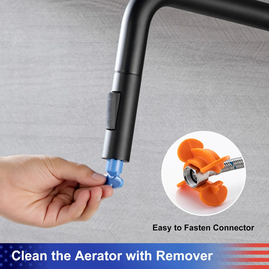 RAINLEX Single-Handle Pull-Down Kitchen Faucet (S6017)