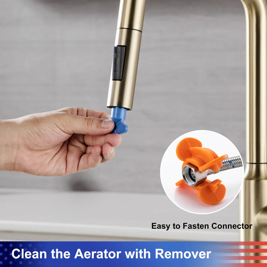 RAINLEX Single-Handle Pull-Down Kitchen Faucet (S6017)