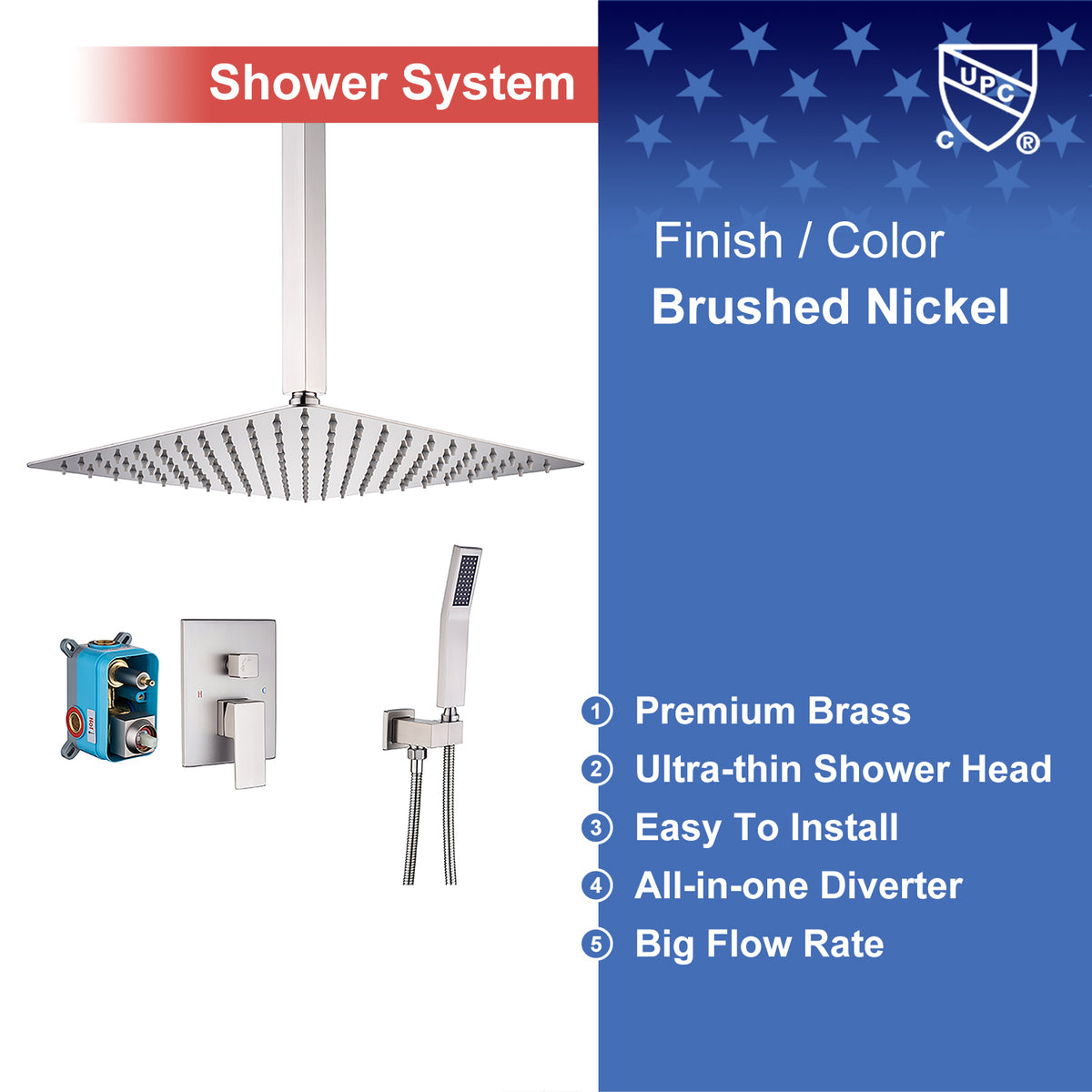 Rainlex 95102-10 shower Brass Finishing