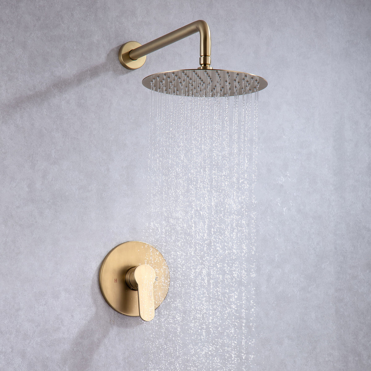 Pommeau de douche rond à montage mural de 10 po avec valve brute RX96201-10
