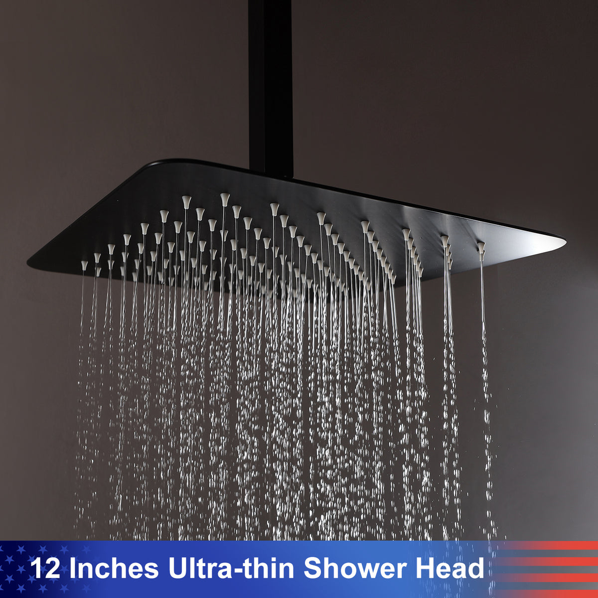 RAINLEX 12 in. Square 2-Way Ceiling-Mount Shower System with Rough-In Valve (S98105)