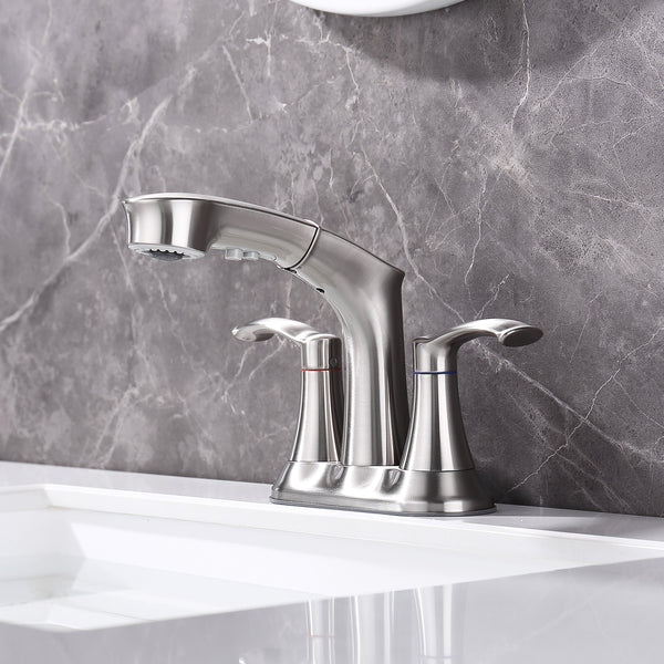 Centerset 2-Handle Pull-Out