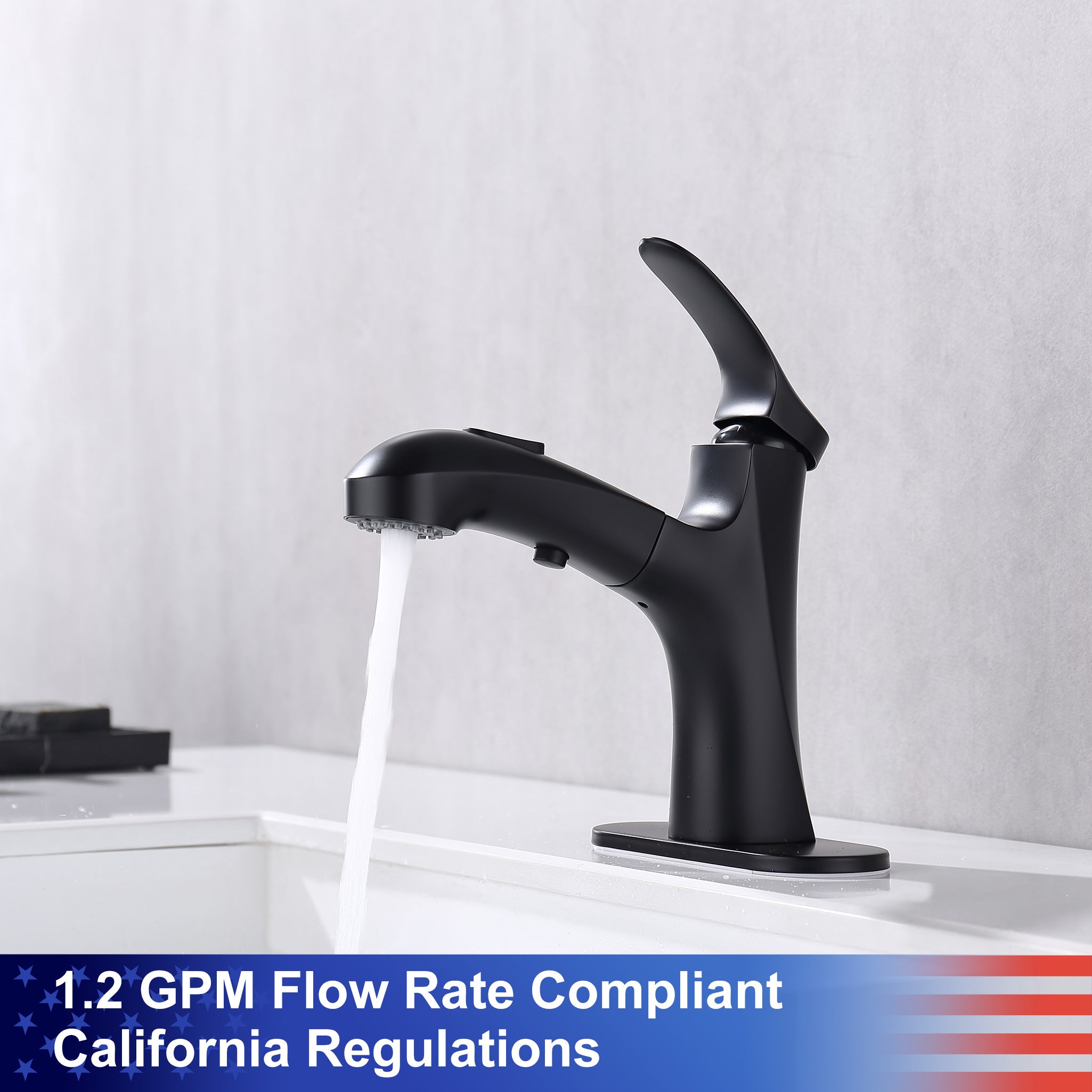Single-Handle Pull-Out Bathroom Faucet (S5701)