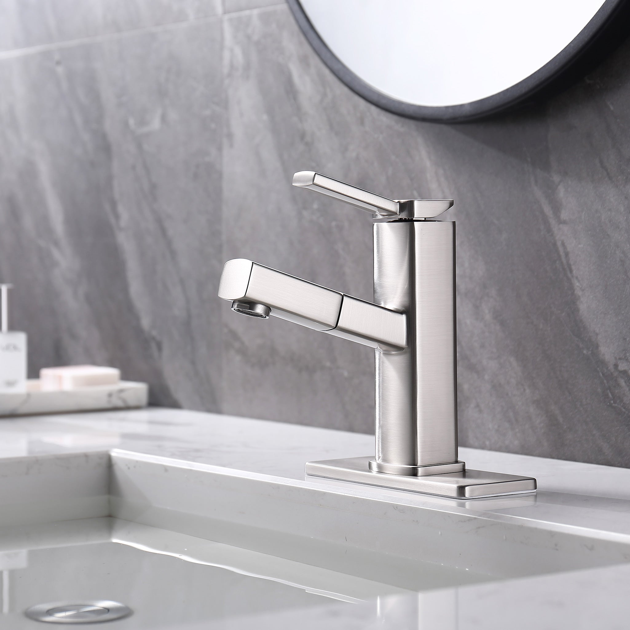 Pull-Out Bathroom Faucet RX5801