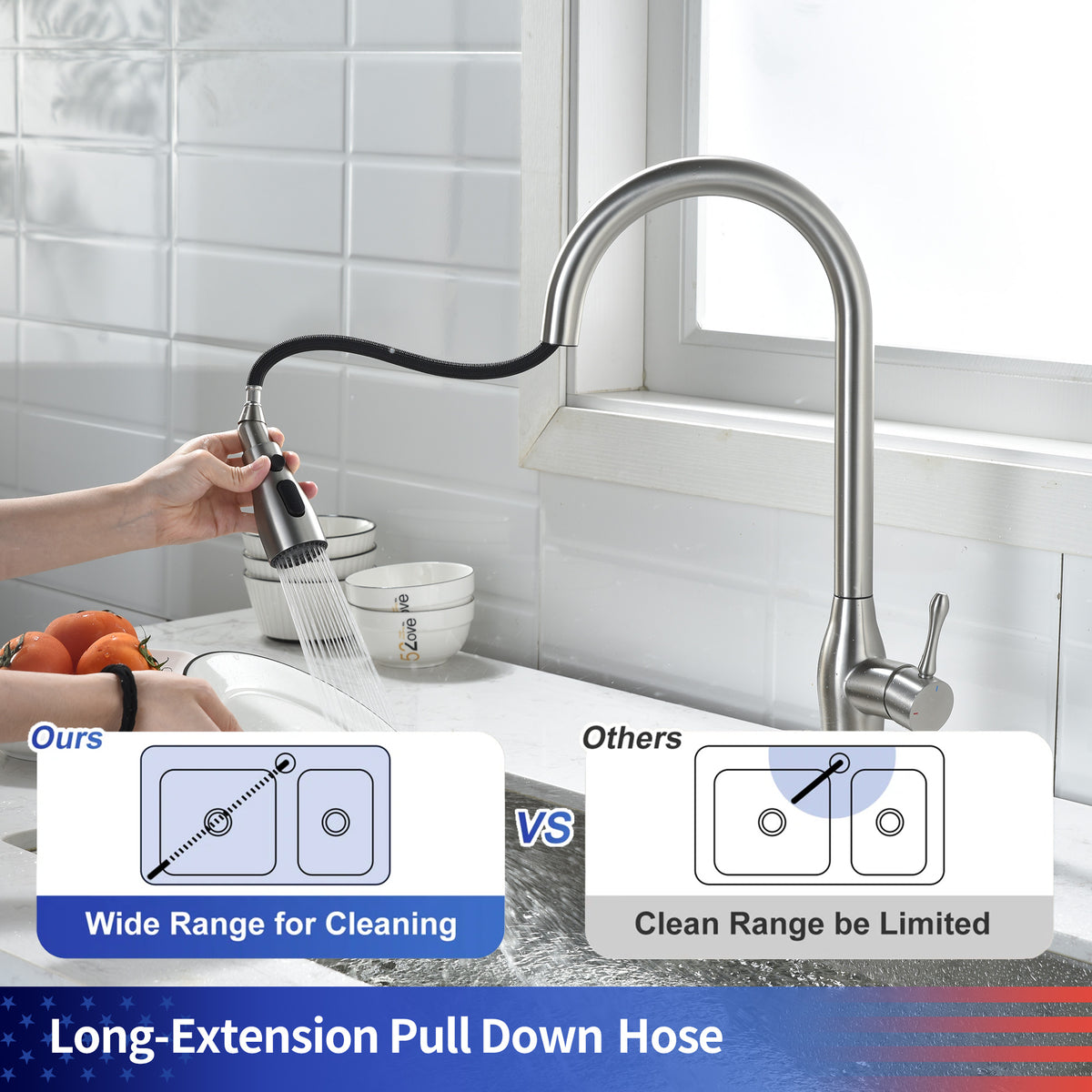 RAINLEX Single-Handle Pull-Down Kitchen Faucet (S6020)