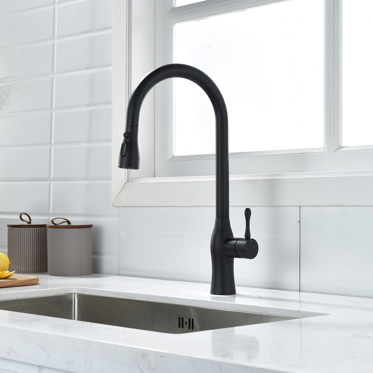 RAINLEX Single-Handle Pull-Down Kitchen Faucet (S6020)