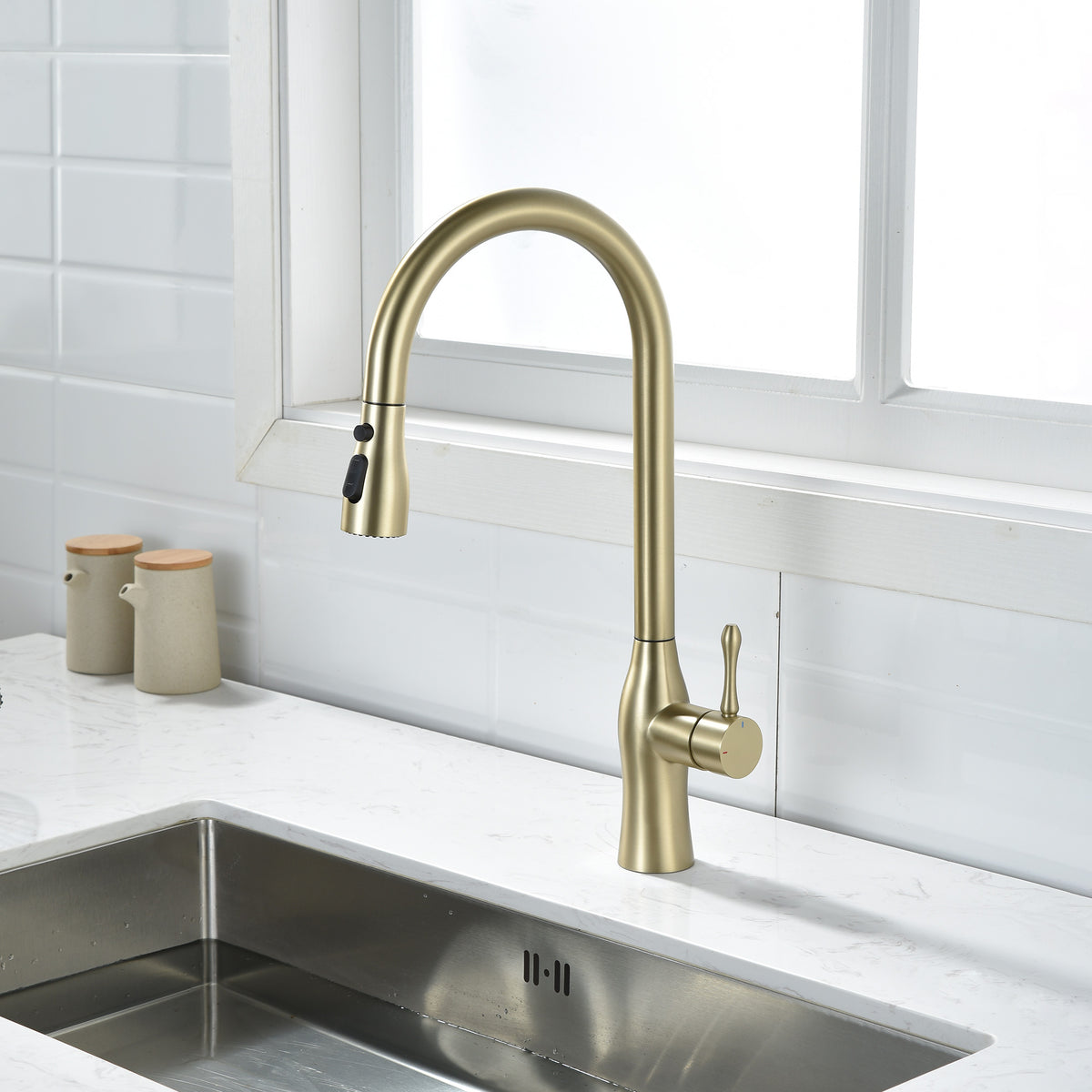 RAINLEX Single-Handle Pull-Down Kitchen Faucet (S6020)