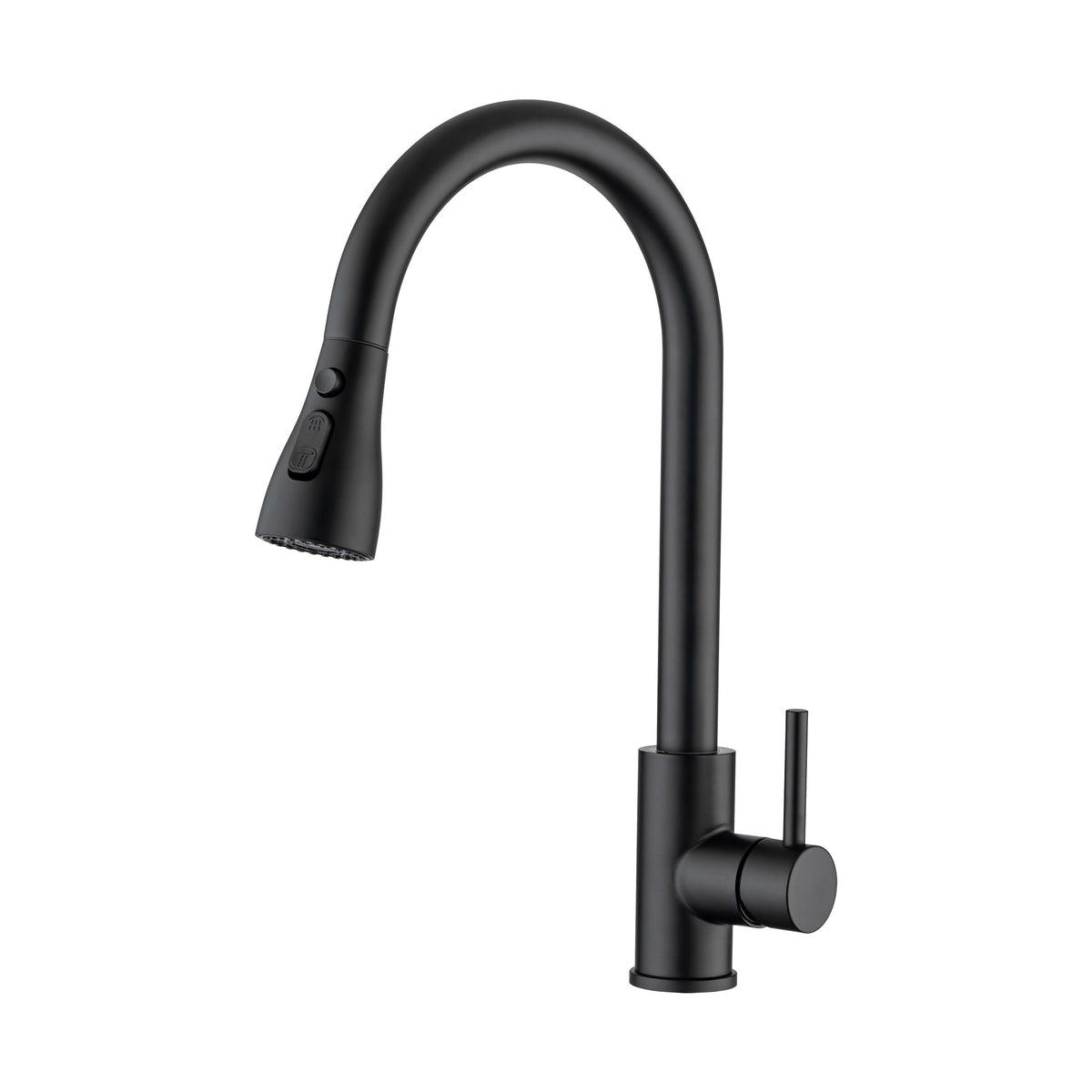 RAINLEX Single-Handle Pull-Down Kitchen Faucet (S6087)
