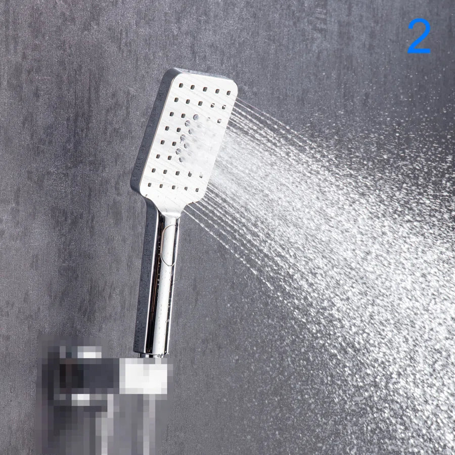 Rainlex multi-function handheld shower in polished chrome