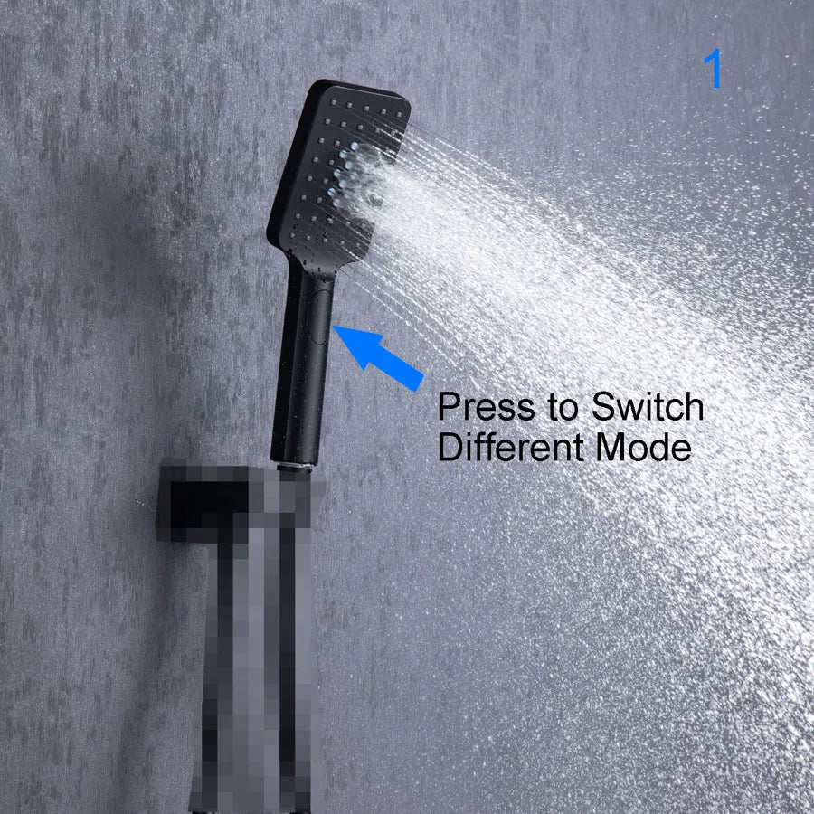 Multi Function Handheld Shower Head PJ008
