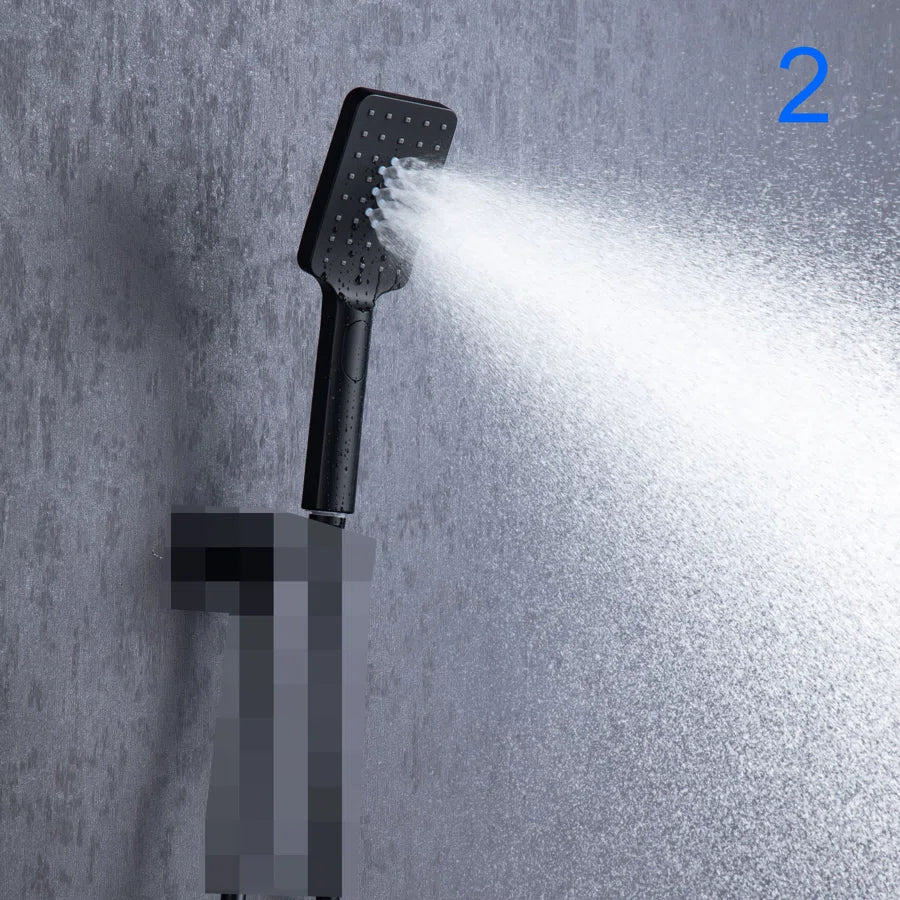 Multi Function Handheld Shower Head PJ008