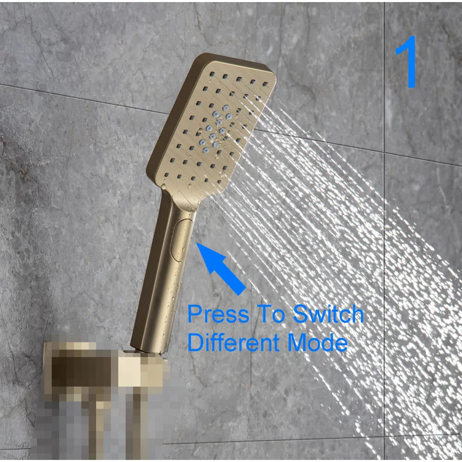 Multi Function Handheld Shower Head PJ008