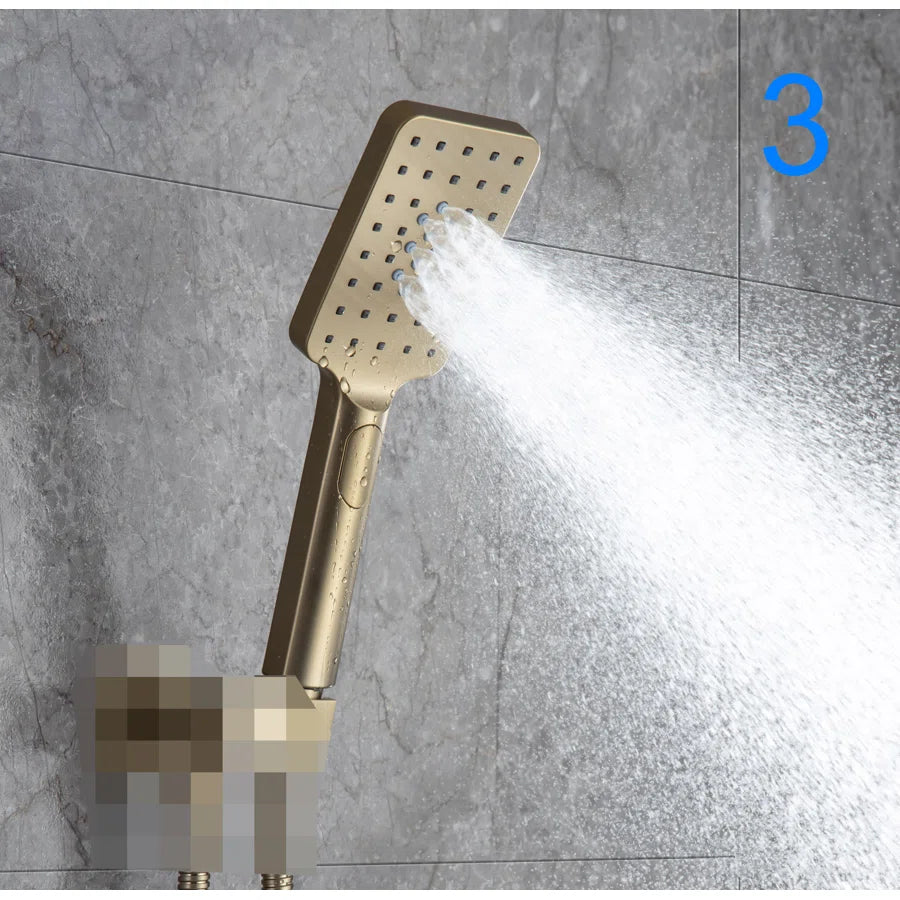 Multi Function Handheld Shower Head PJ008