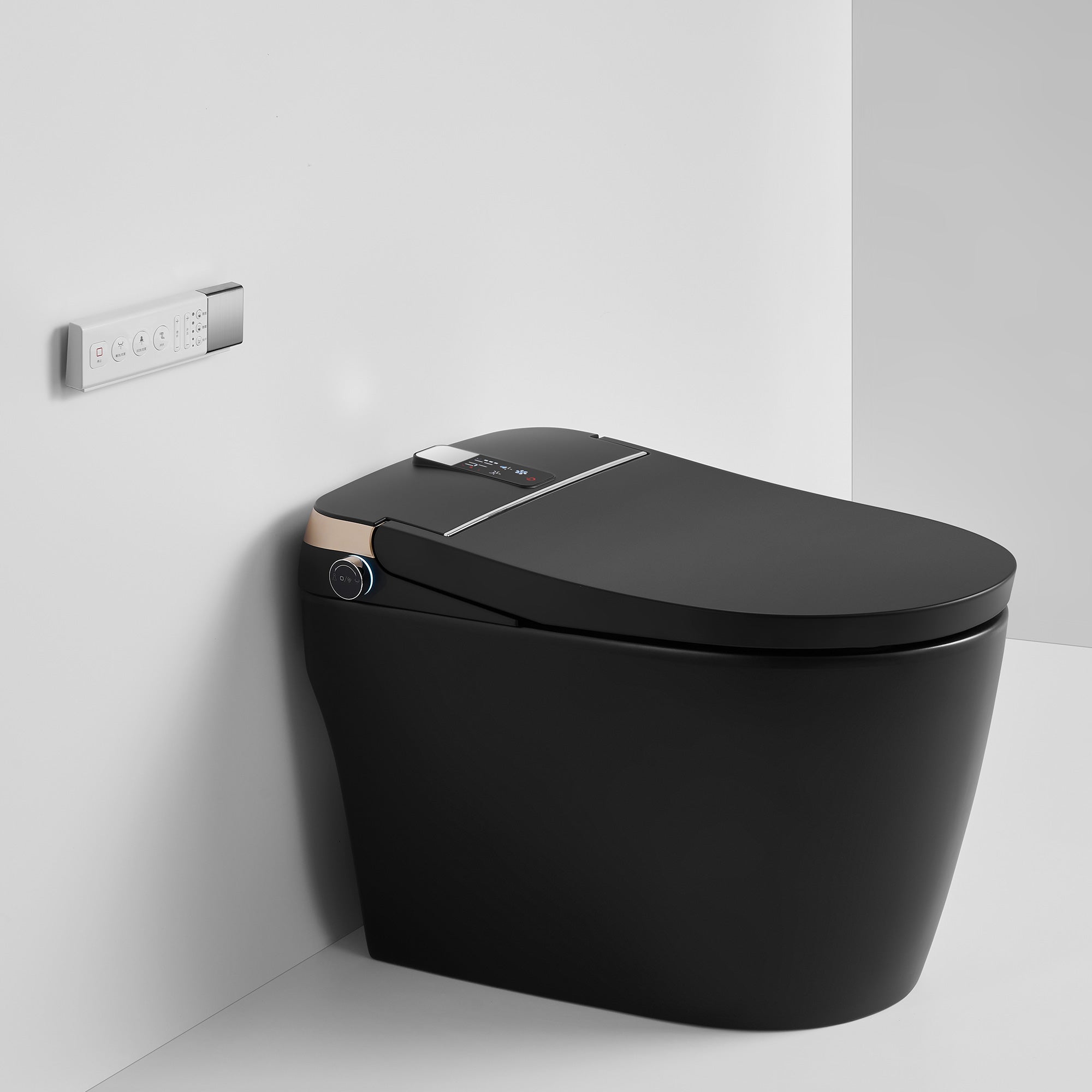 Toilettes intelligentes avec bidet intégré RX-T01MB