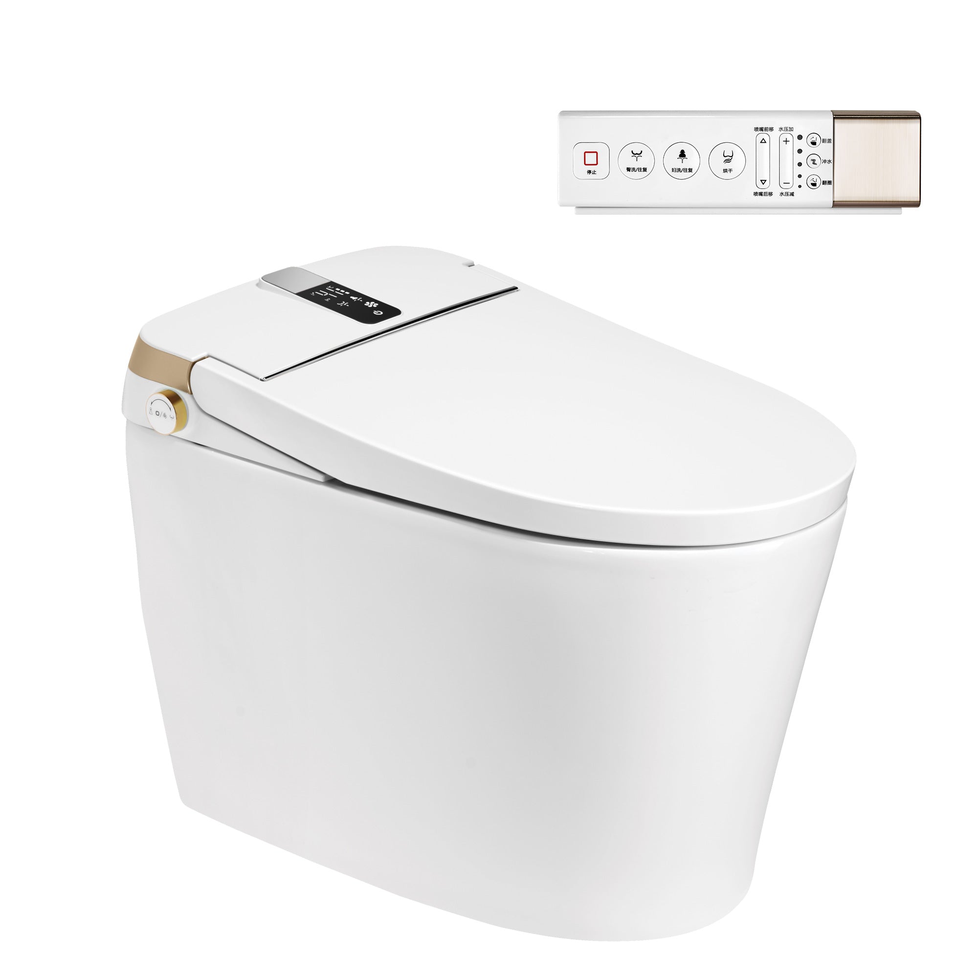 Toilettes intelligentes avec bidet intégré RX-T01W