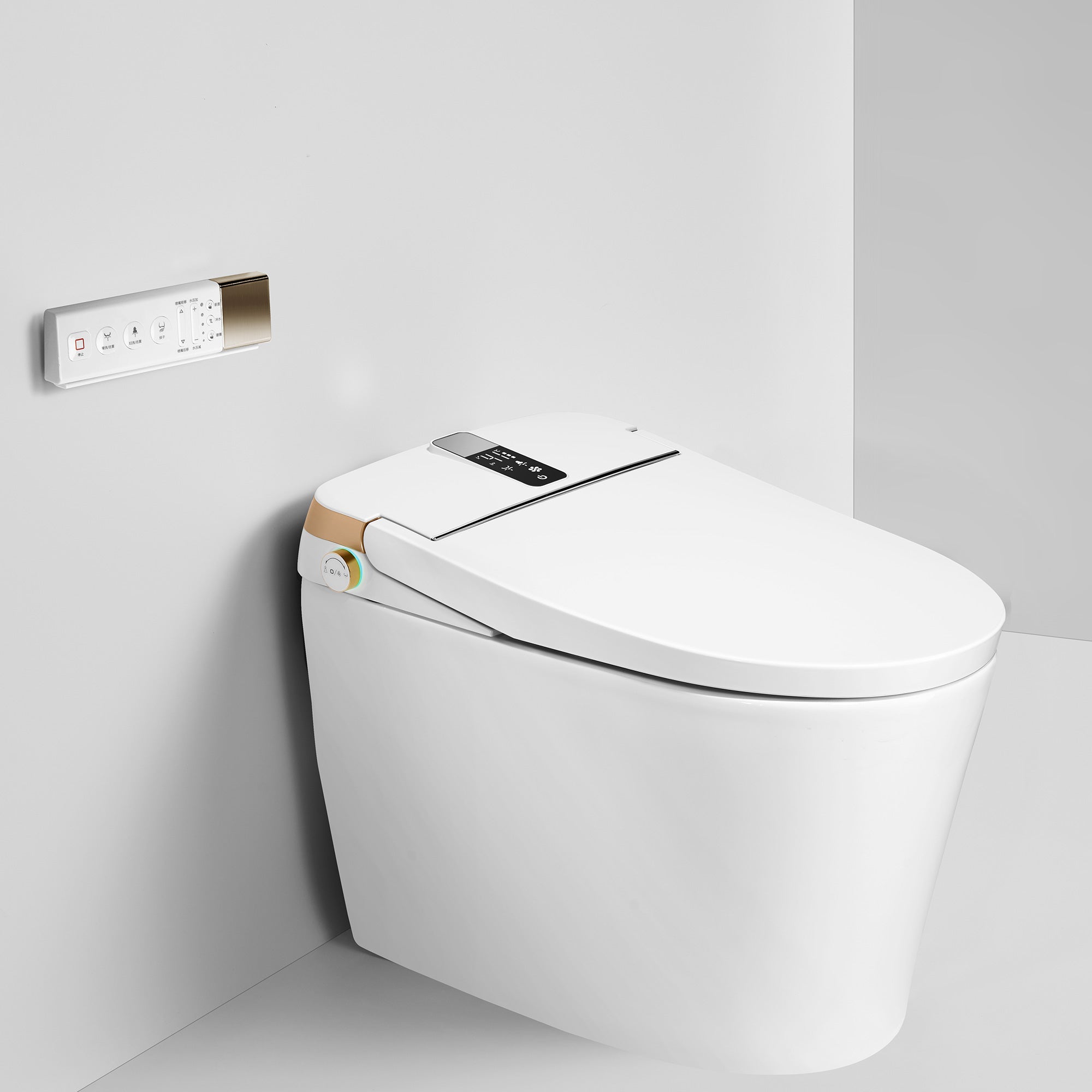 Toilettes intelligentes avec bidet intégré RX-T01W