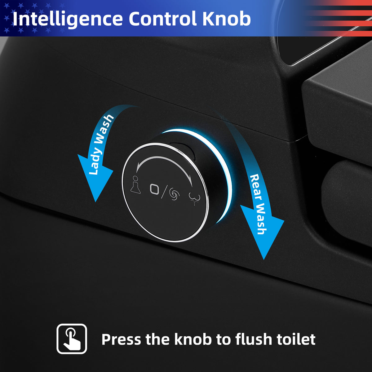 RAINLEX Smart Toilet with Built-In Bidet, Matte Black (T02)