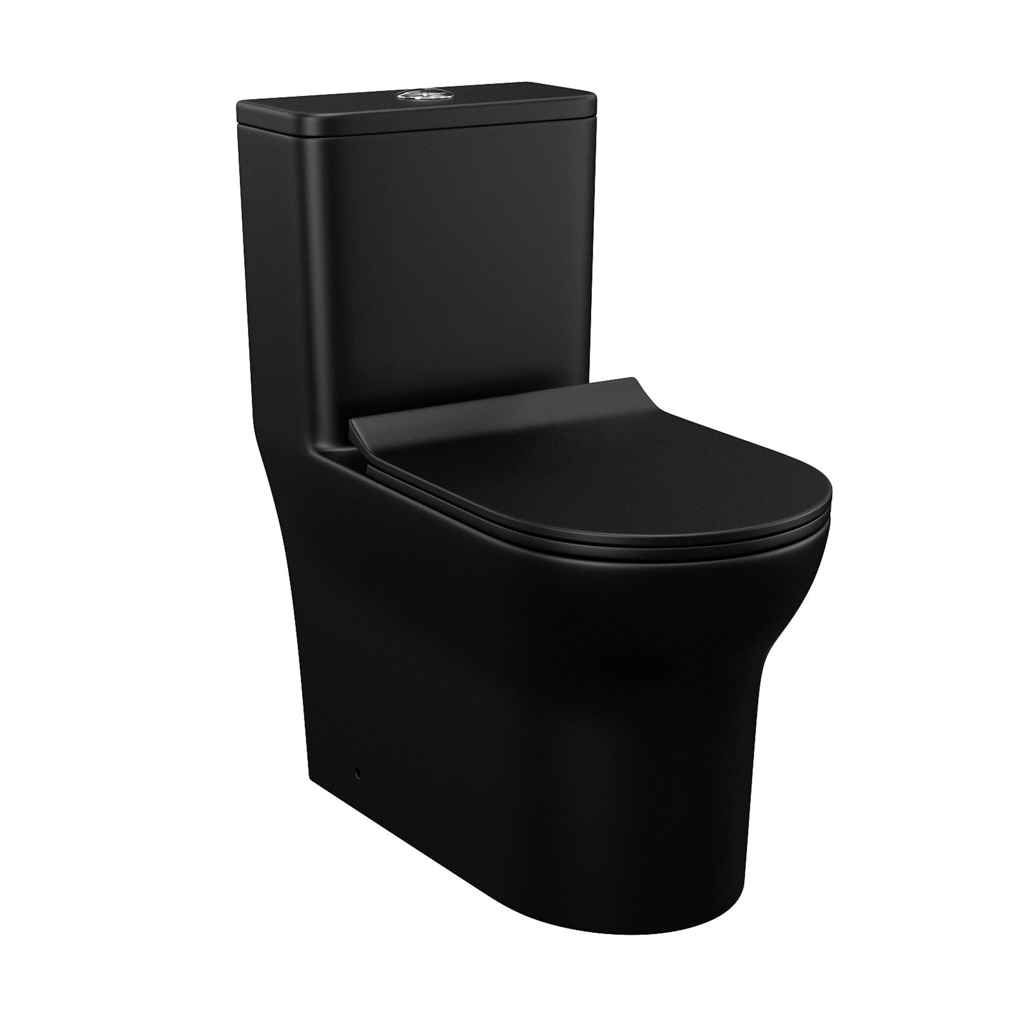 One-Piece Elongated Toilet, Matte Black (T03)