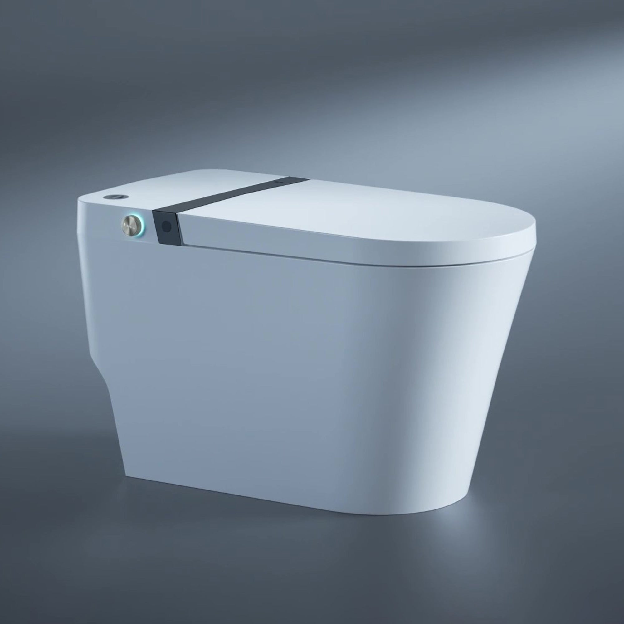 Toilettes intelligentes avec bidet intégré RX-T05W