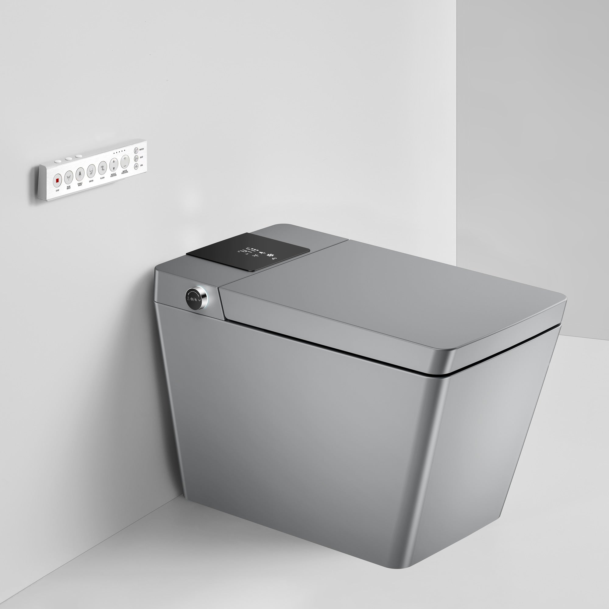 Toilettes intelligentes avec bidet intégré RX-T06MG