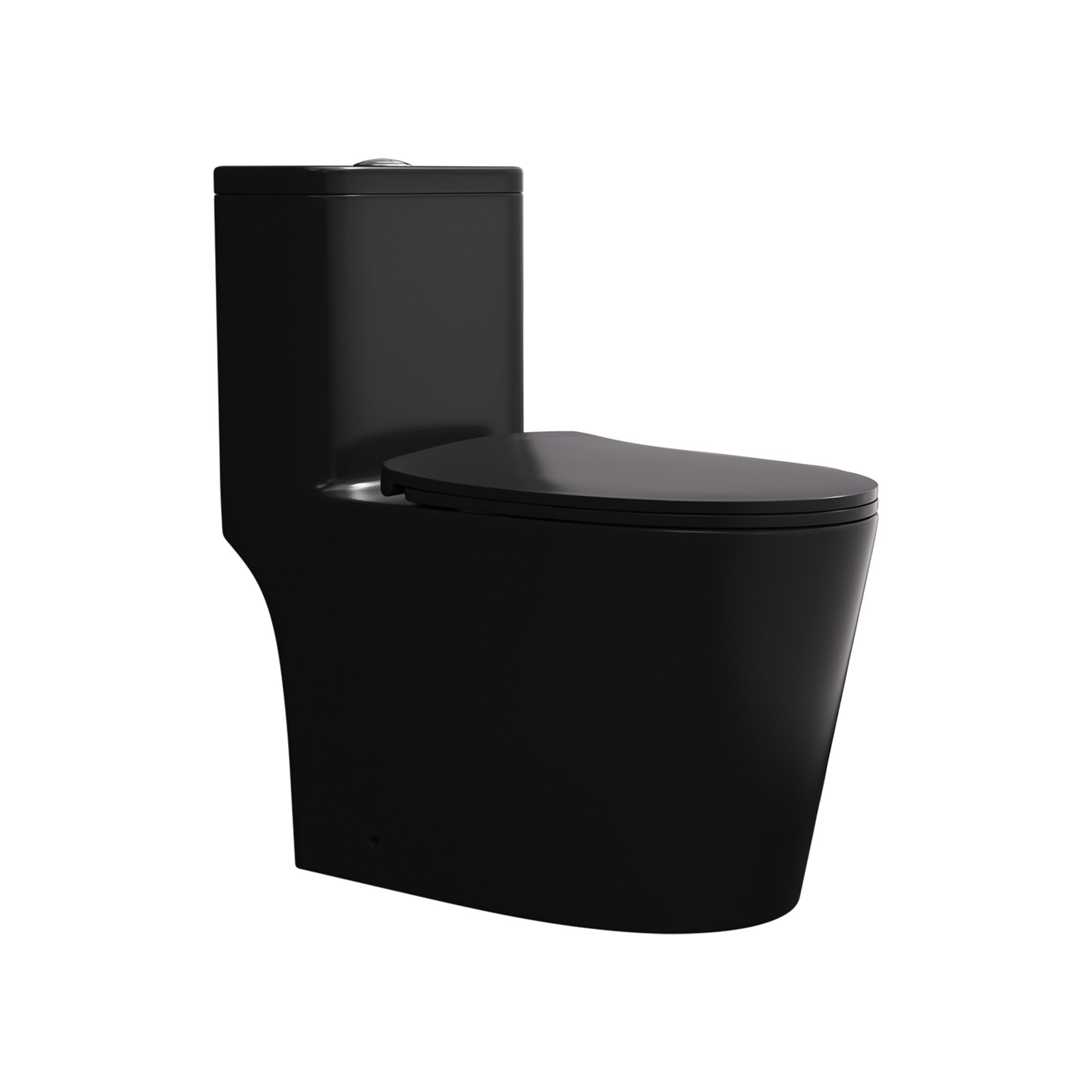 One-Piece Elongated Toilet, Matte Black (T09)