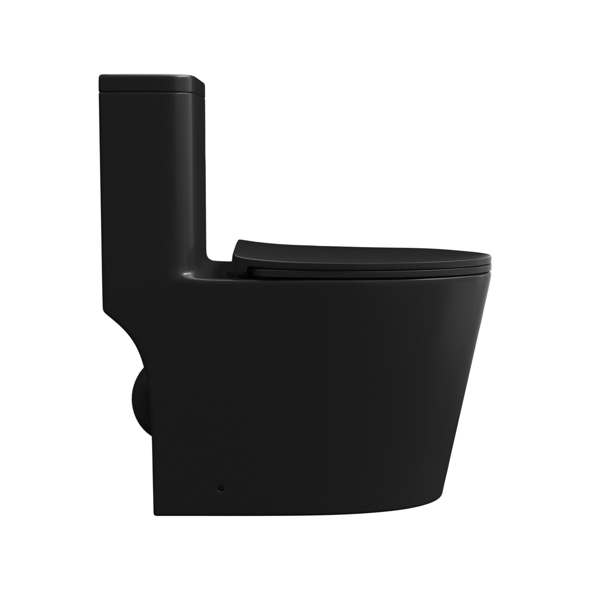 One-Piece Elongated Toilet, Matte Black (T09)