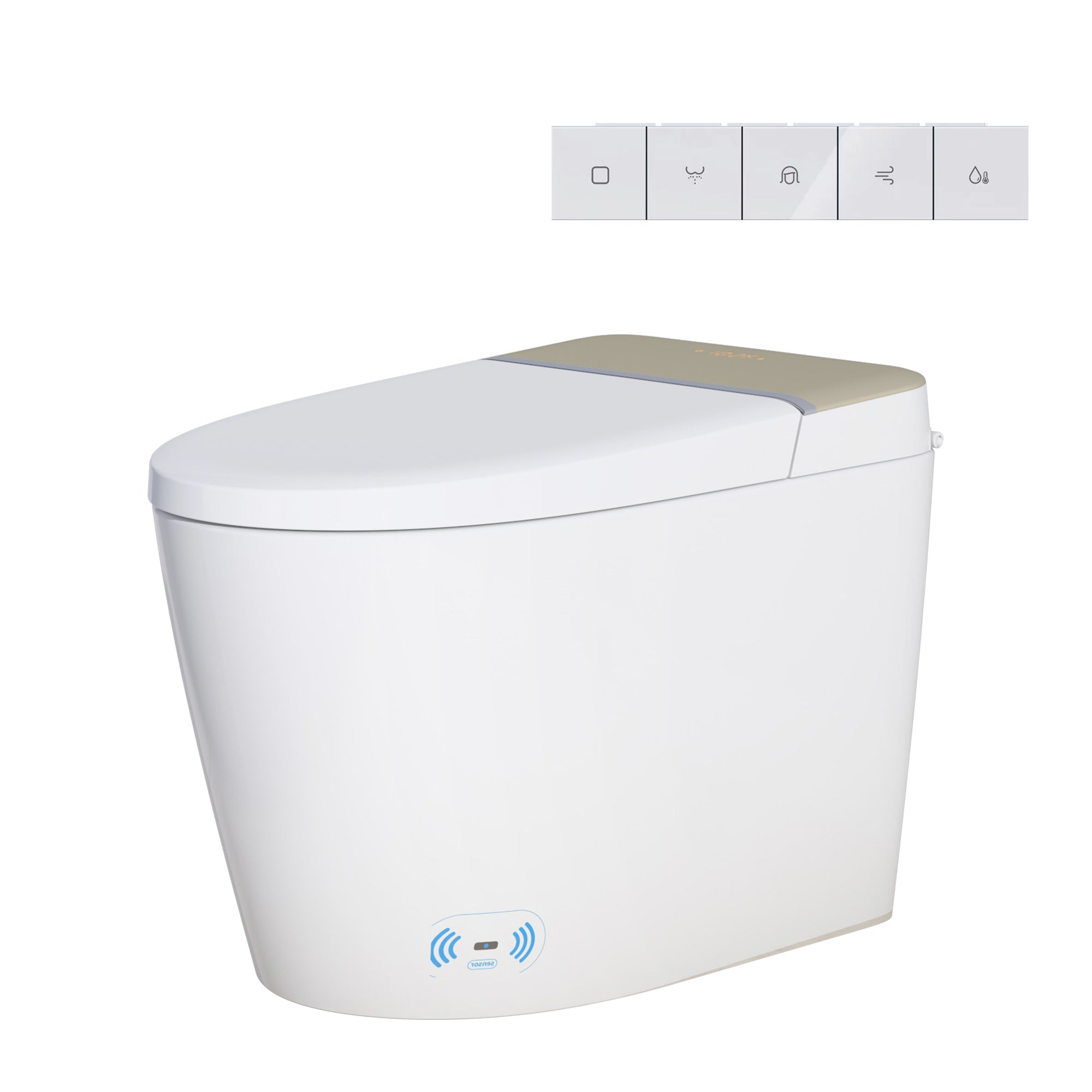 Toilettes intelligentes avec bidet intégré RX-T12W