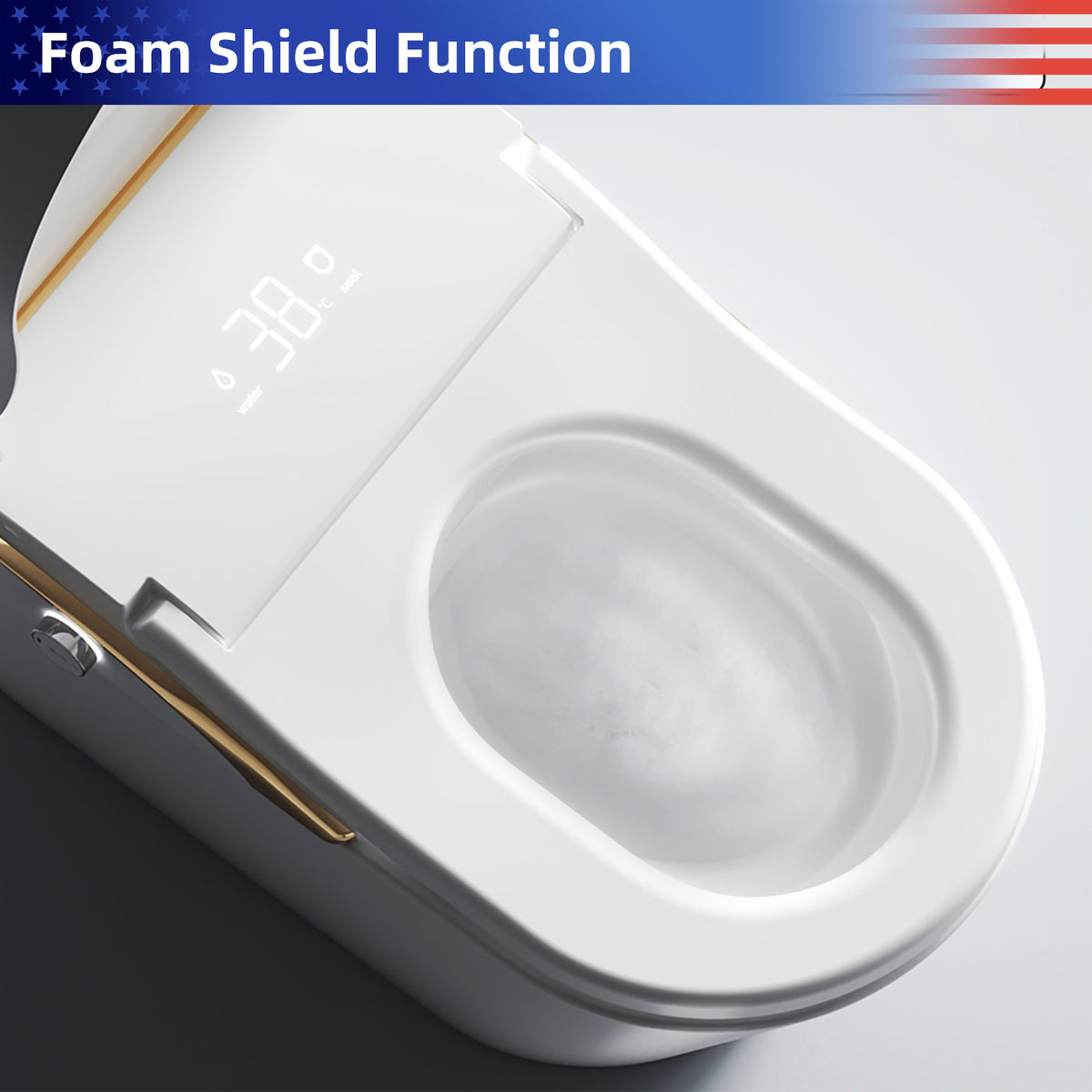 Rainlex ADA Height Smart Bidet Toilet with Auto Open Lid, Heated Seat, Warm Water Wash, Dryer, Foam Shield & Remote Control(T49)
