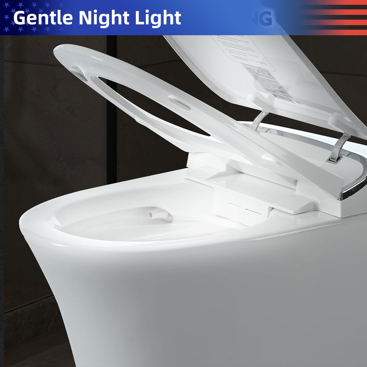 Rainlex Smart Bidet Toilet with Heated Seat, Warm Water Wash, Warm Air Dryer, Auto Flush, Remote Control & Night Light (T73)