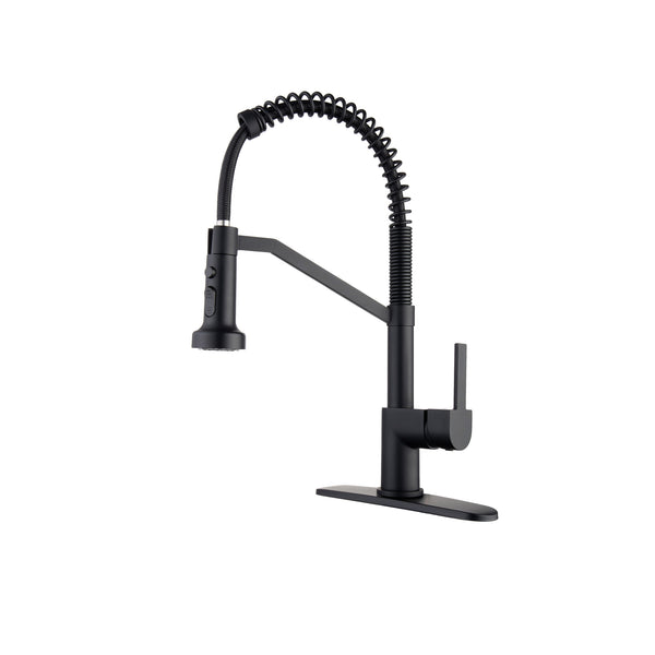 [Rainlex 6004H] Rainlex Pull Down Kitchen Faucet