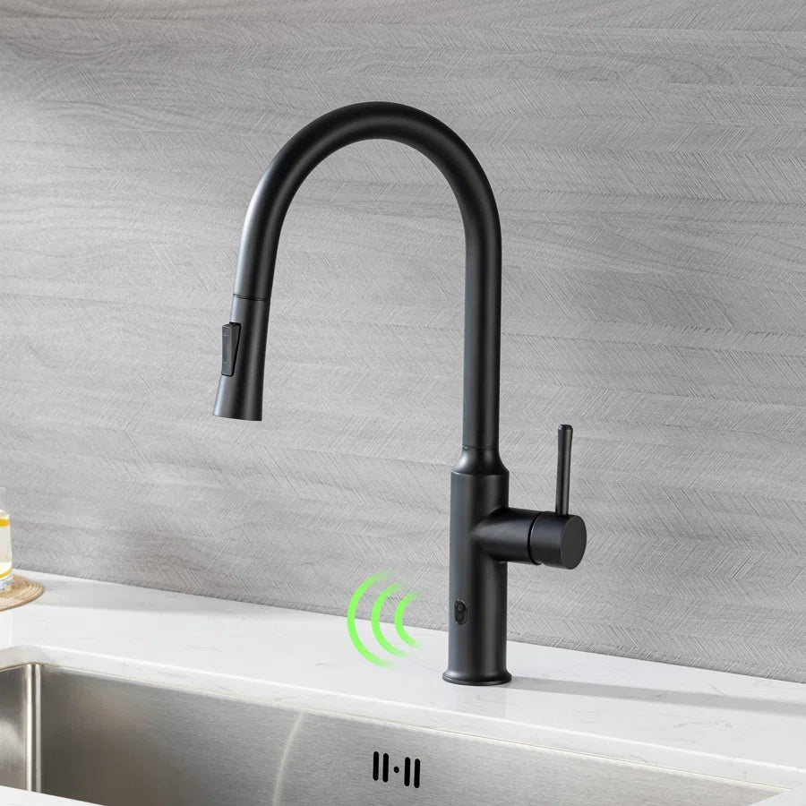 Robinet de cuisine à poignée unique rétractable RX6012