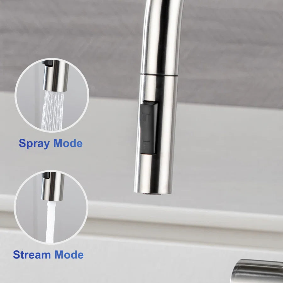 RAINLEX Single-Handle Pull-Down Kitchen Faucet (S6014)