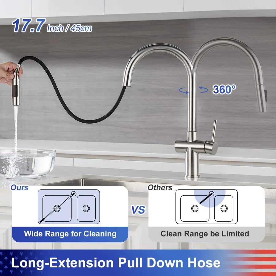 RAINLEX Single-Handle Pull-Down Kitchen Faucet (S6014)