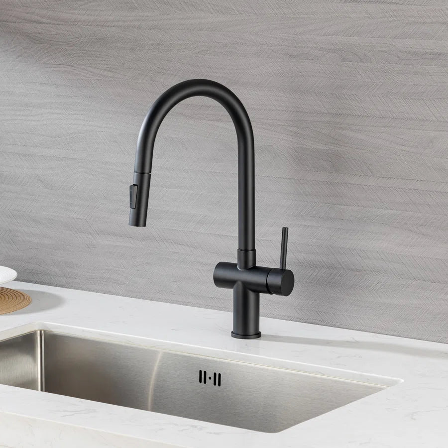 Robinet de cuisine à poignée unique rétractable RX6014