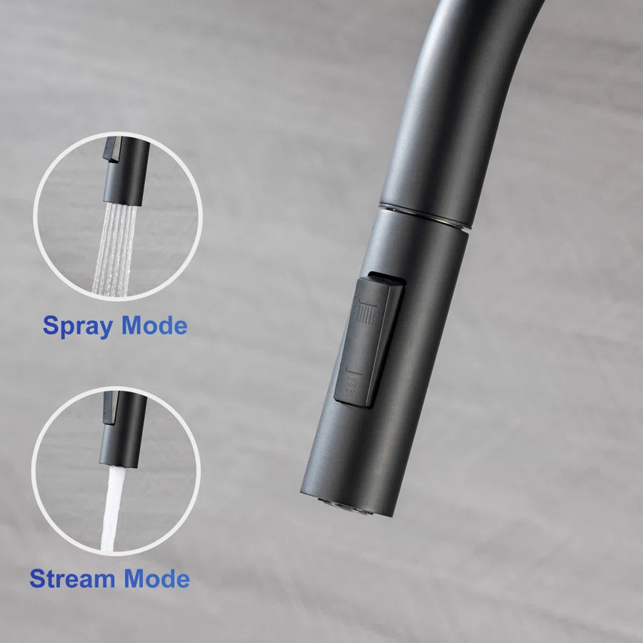 RAINLEX Single-Handle Pull-Down Kitchen Faucet (S6014)