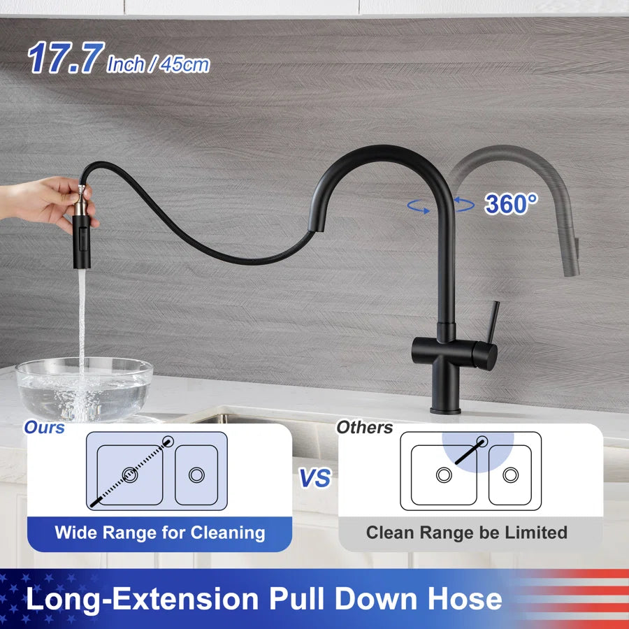 RAINLEX Single-Handle Pull-Down Kitchen Faucet (S6014)