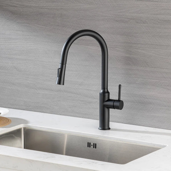Pull-Down Single Handle Kitchen Faucet RX6016