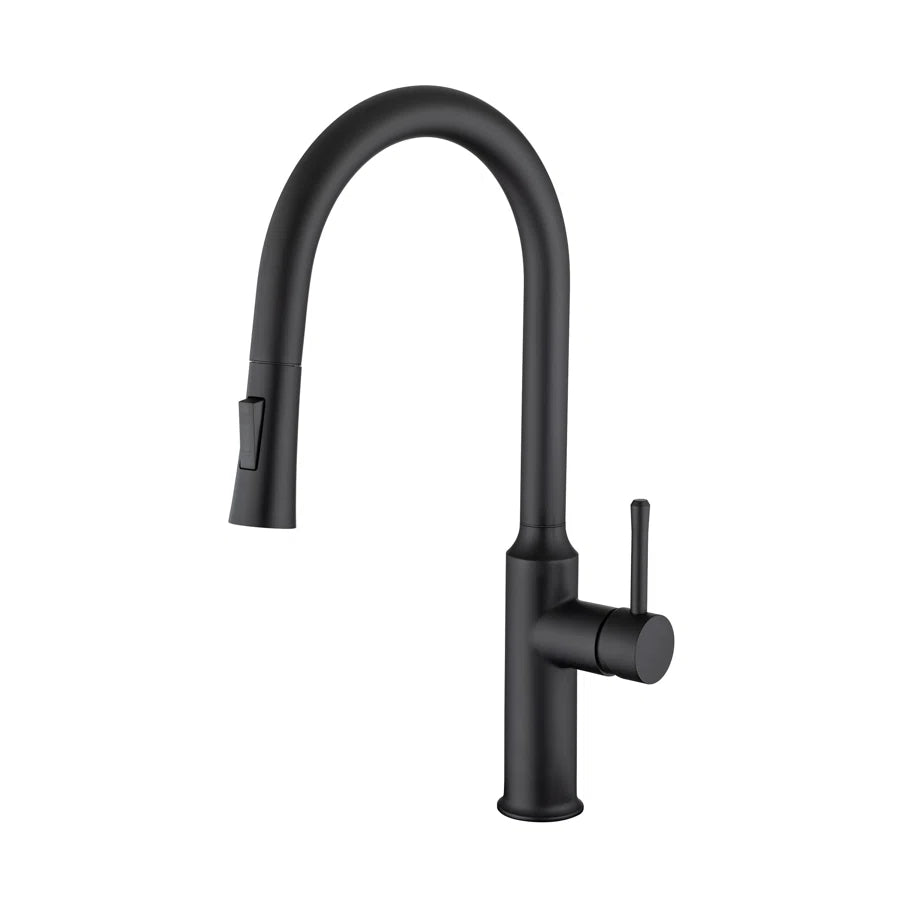 Robinet de cuisine à poignée unique rétractable RX6016