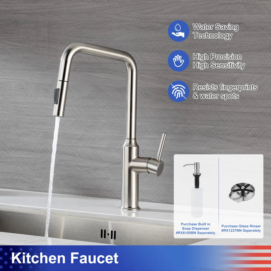 RAINLEX Single-Handle Pull-Down Kitchen Faucet (S6017)