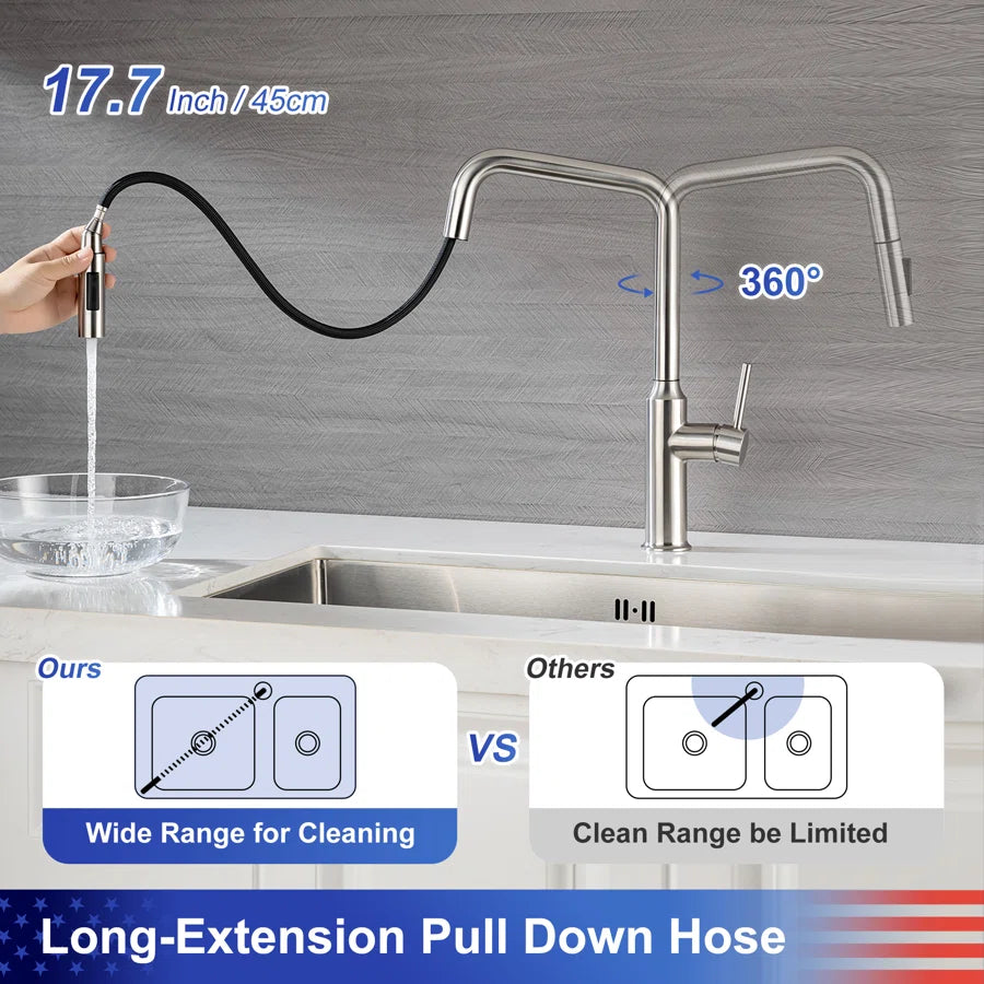 RAINLEX Single-Handle Pull-Down Kitchen Faucet (S6017)
